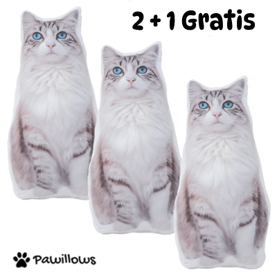 copy of Pawillows Classic