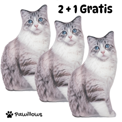 Pawillows Premium - Zestaw...